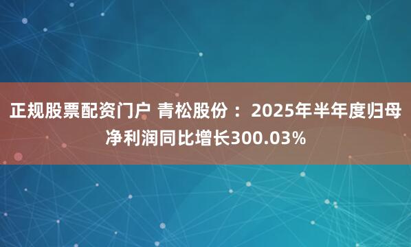 正规股票配资门户 青松股份 ：2025年半年度归母净利润同比增长300.03%