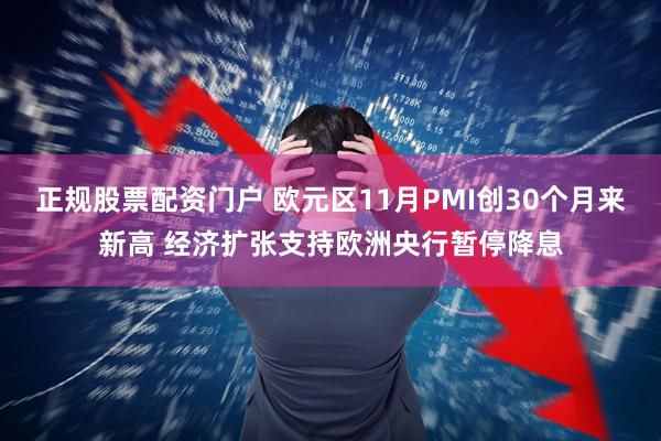 正规股票配资门户 欧元区11月PMI创30个月来新高 经济扩张支持欧洲央行暂停降息