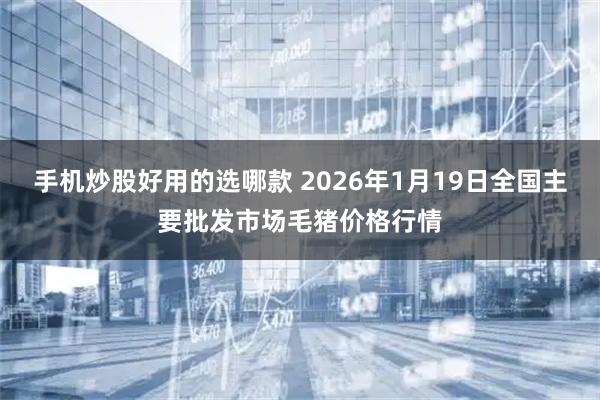 手机炒股好用的选哪款 2026年1月19日全国主要批发市场毛猪价格行情
